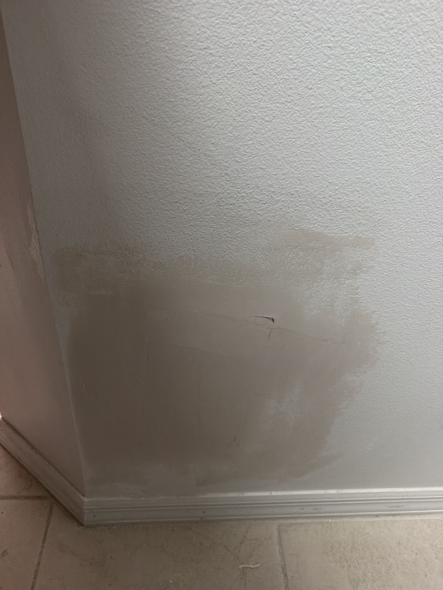 IMG 1061