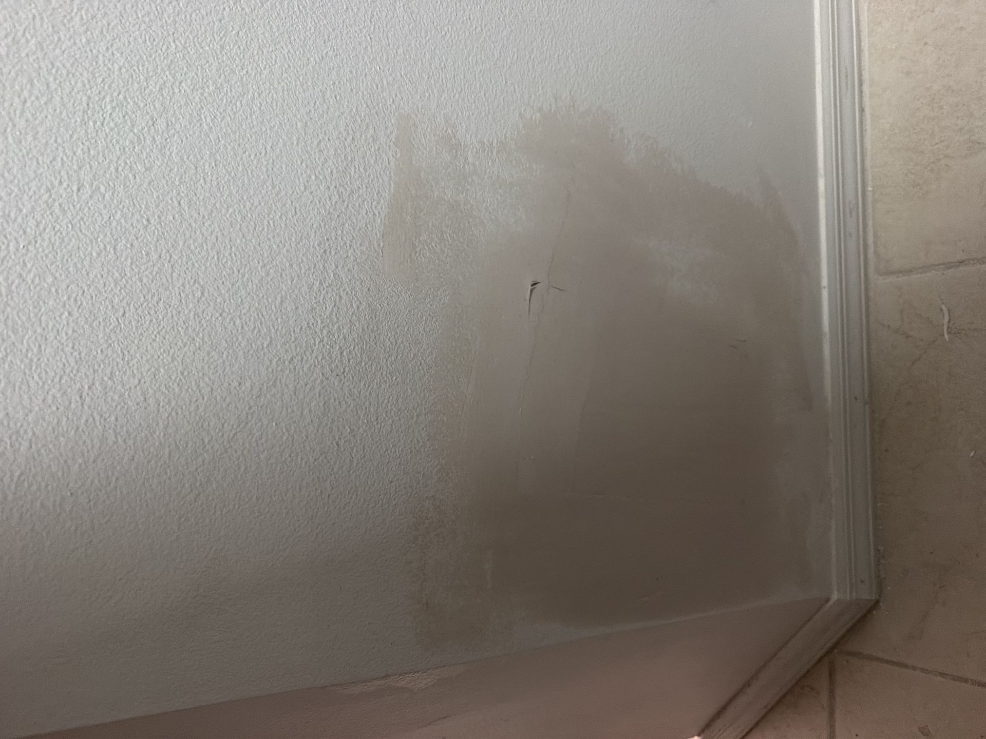 IMG 1061
